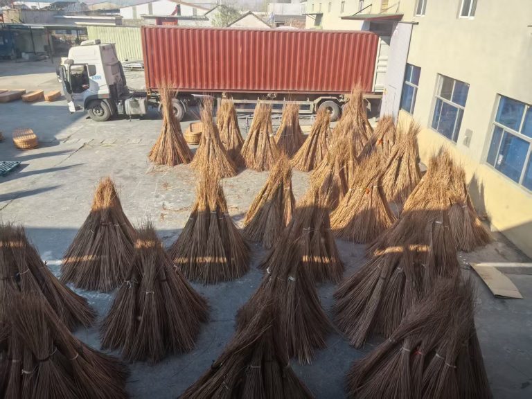 The Historical and Design Evolution of Moses Baskets: A Global Perspective